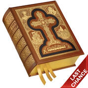 The Holy Bible 2953 b LQ