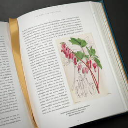 3981 the plant hunters atlas ambra edwards illustration8