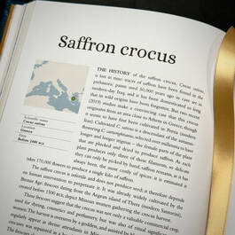 3981 the plant hunters atlas ambra edwards satin ribbon4