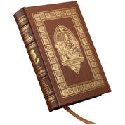 Dragonfly in Amber 3291 a main