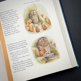 3317 the complete tales beatrix potter satin ribbon10