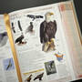 3925 birds of north america american museum of natural history illustration7
