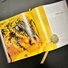 3924 micro life smithsonian illustration8