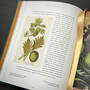 3981 the plant hunters atlas ambra edwards illustration11