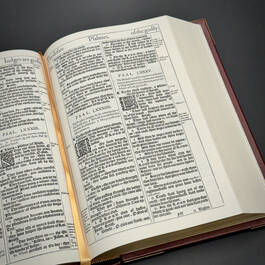 3962 the king james bible satin ribbon6