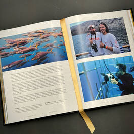 6525 flyaway of life tomas koeck illustration12