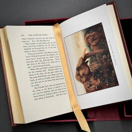 3391 the jungle book rudyard kipling illustration2
