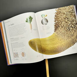 3924 micro life smithsonian illustration15