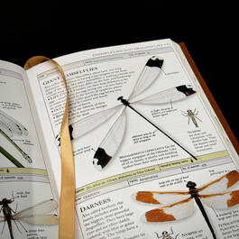 3973 Smithsonian Insects McGavin satin ribbon detail 6