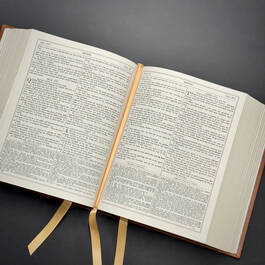 2953 the holy bible douay rheims  satin ribbon1