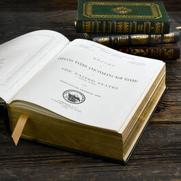 Report on Indians 3020 n image3