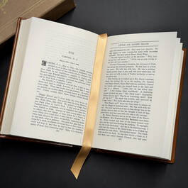 3514 a diary from dixie mary boykin chestnut satin ribbon1