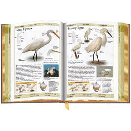 Birds of North America 3925 f 05