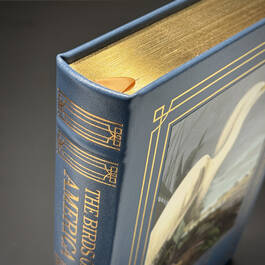 3975 the birds of america audubon gilded pages