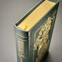 0875376 hemlock & silver t. kingfisher gilded pages