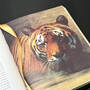 3949 the jungle book rudyard kipling tiger illustration