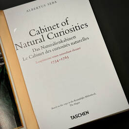 3844 cabinet of natural curiosities seba title page