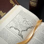 0338 abraham lincoln sandburg satin ribbon6