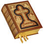 The Holy Bible 2953 a cvr