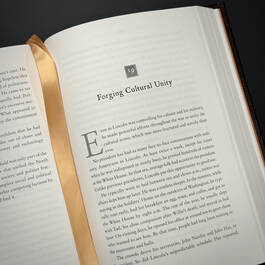 3818 abe abraham lincoln in his times reynolds  (18)