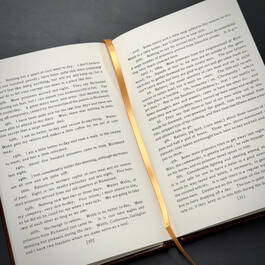 2678125 prison diary of dougherty dougherty satin ribbon2