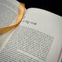 J.R.R. Tolkien: A Biography, 3793 Biography Carpenter satin ribbon 1