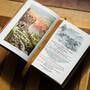 Story of the Wild West, Story Of The Wild West 3241 5