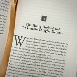 3818 abe abraham lincoln in his times reynolds  (20)