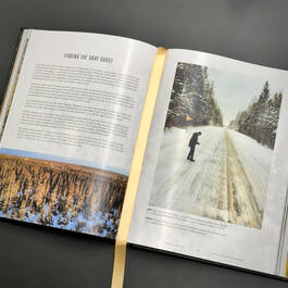 6525 flyaway of life tomas koeck illustration13