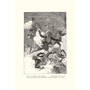 Robert Louis Stevenson's TREASURE ISLAND, Treasure Island 2964 h flt6