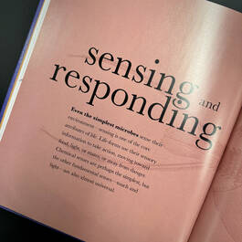 3924 micro life smithsonian illustration14