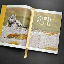 6525 flyaway of life tomas koeck title page