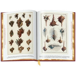 Cabinet of Natural Curiosities 3844 g sp05