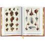 Cabinet of Natural Curiosities 3844 g sp05