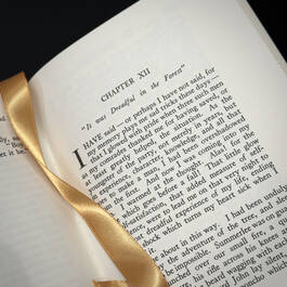 3815030 the lost world conan doyle satin ribbon2