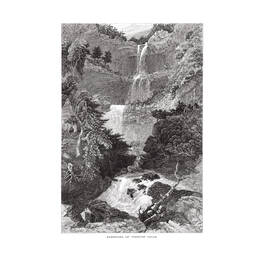 America Illustrated 3820 f ft02