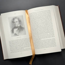 3818 abe abraham lincoln in his times reynolds  (8)