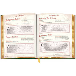 3734 Harry Potter Bestiary sp04