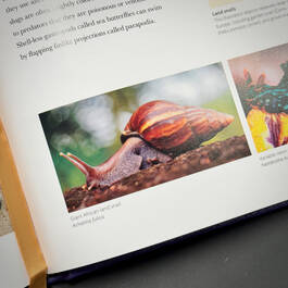 3924 micro life smithsonian illustration3