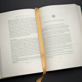 3998028 politics and poetics aristotle&nbsp; satin ribbon5