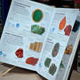 3691 gemstones smithsonian inside detail1