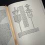 3961 the hypnerotomachia poliphili aldus manutius illustration4
