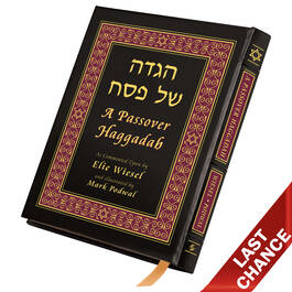 Passover Haggadah 3632 L LQ