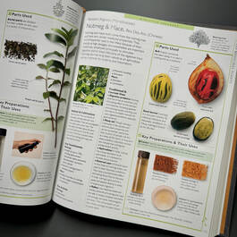 3861 encyclopedia of herbal medicine andrew chevallier page detail1