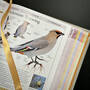 3925 birds of north america american museum of natural history  satin ribbon1