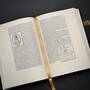 3961 the hypnerotomachia poliphili aldus manutius illustration2