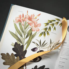 3976 flowers their meanings azoulay satin ribbon1