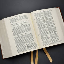 6578 1560 geneva bible illustration1
