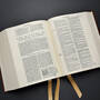 6578 1560 geneva bible illustration1