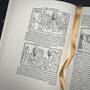 3961 the hypnerotomachia poliphili aldus manutius illustration3